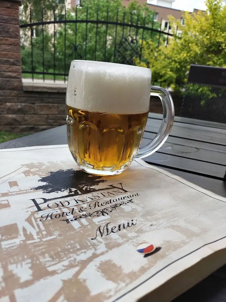 Menu_Hotel & Restaurace Pod Kaštany_Krupka_image_4