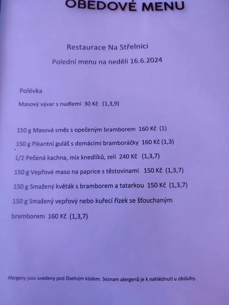 Menu_Restaurace Pod Lanovkou - Na Střelnici_Krupka_immagine_1