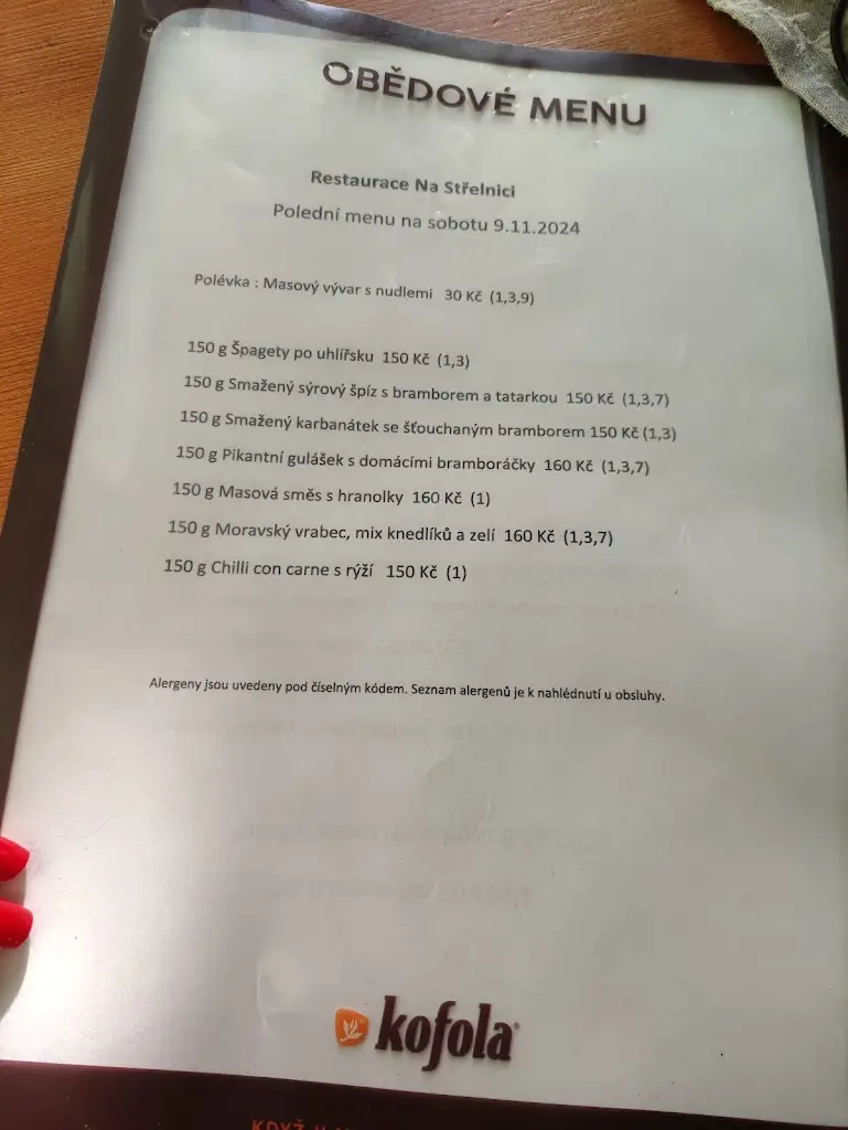 Menu_Restaurace Pod Lanovkou - Na Střelnici_Krupka_immagine_4