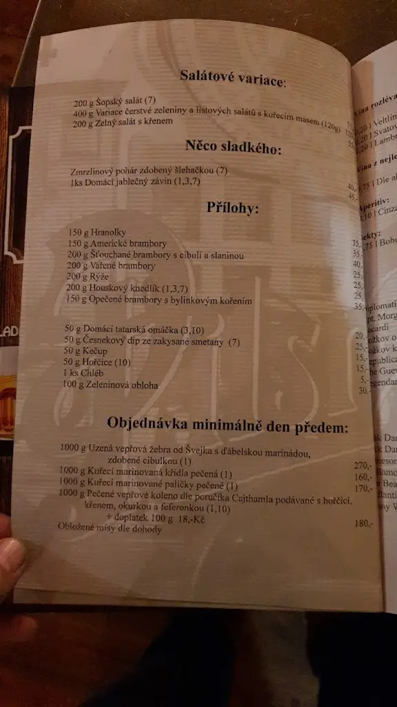 Menu_Švejk Pivnice U Věžičky_Kadaň_immagine_2