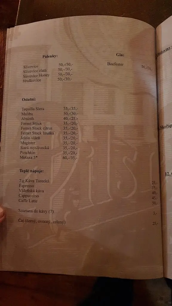 Menu_Švejk Pivnice U Věžičky_Kadaň_immagine_3