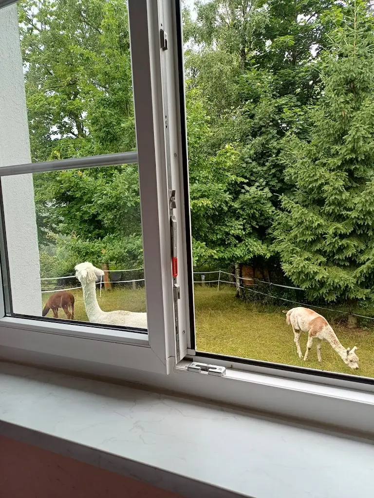 ana maria_Kräuterbaude Saupsdorf_Krásná Lípa_recensione