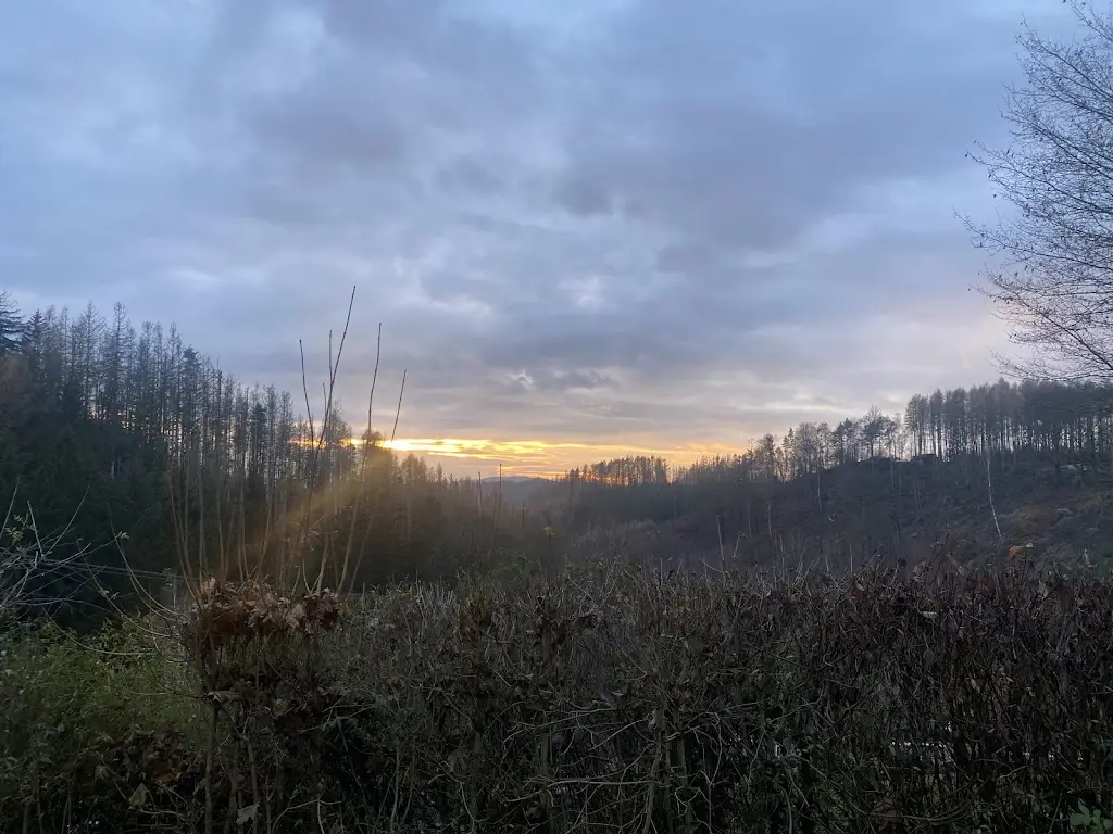 Joan Casaramona_Kräuterbaude Saupsdorf_Krásná Lípa_recensione