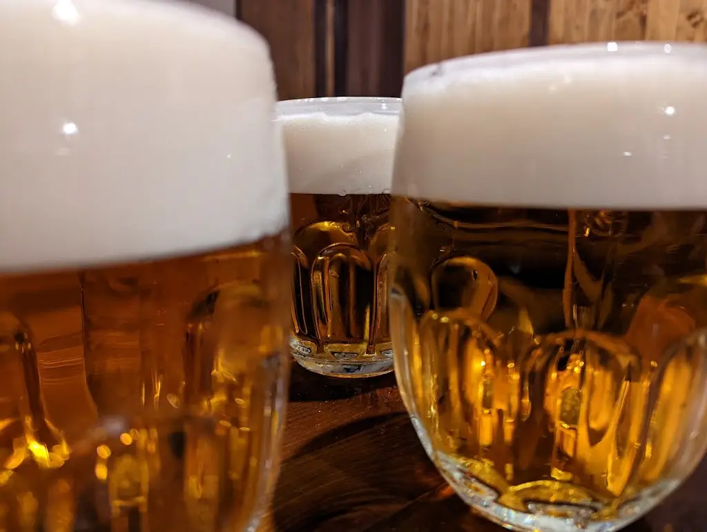 Menu_Hospoda pod kaštany_Jirkov_image_1