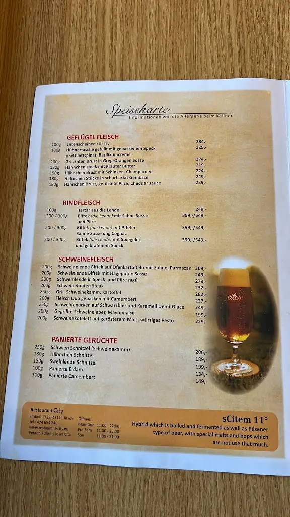 Menu_Restaurant City_Jirkov_immagine_3