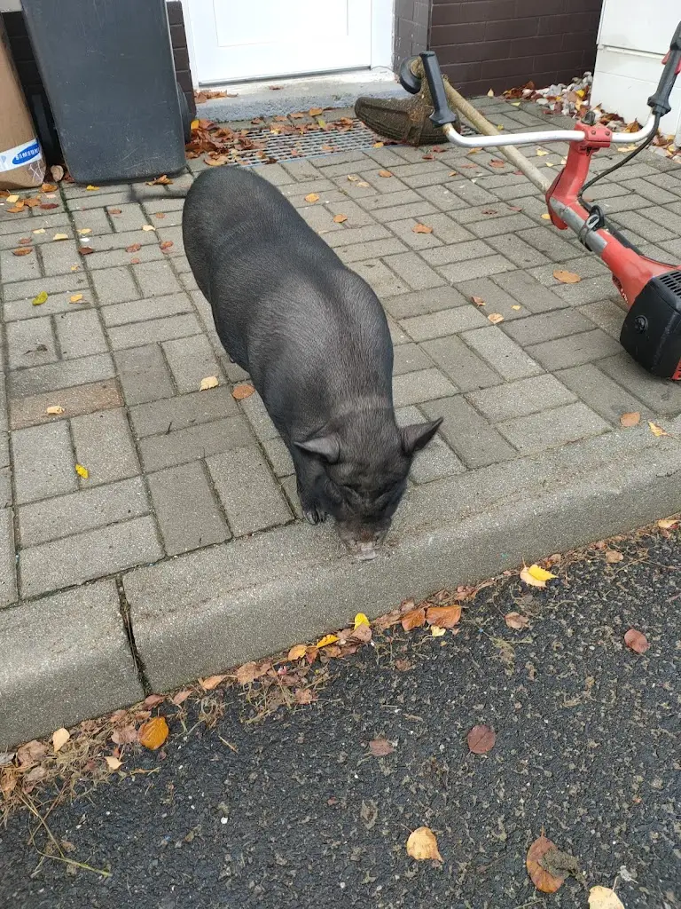 Marcela Gašparová_Restaurace Na sjezdovce_Meziboři_review