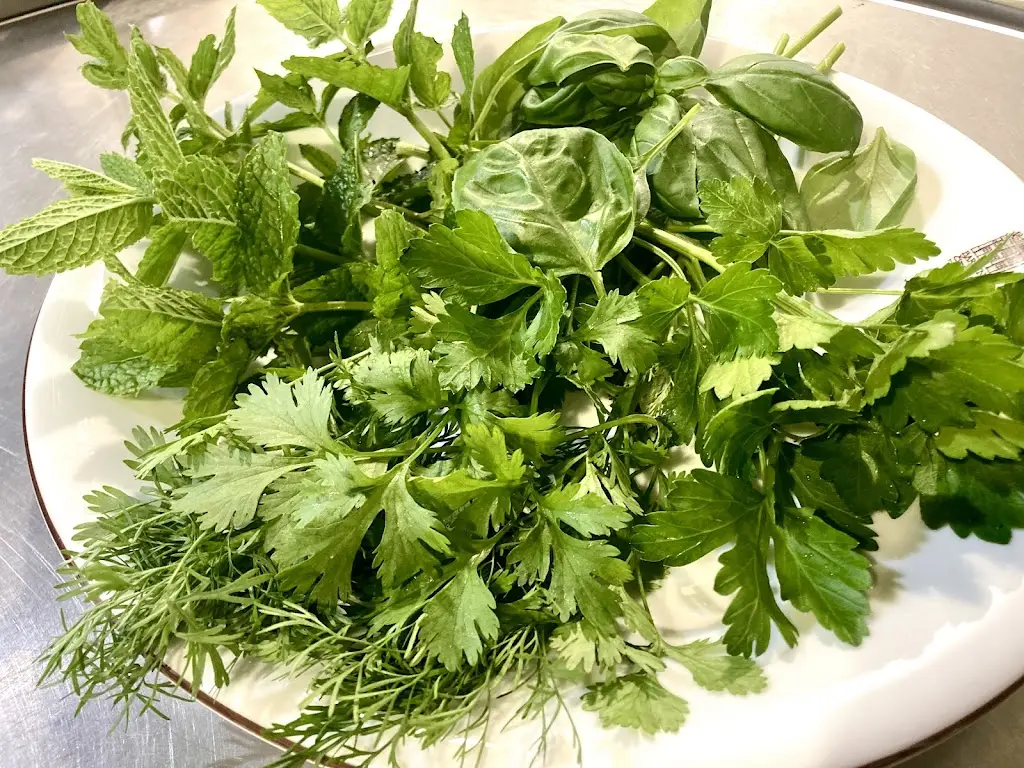 Menu_Vegetariana Louny_Okres Louny_image_3