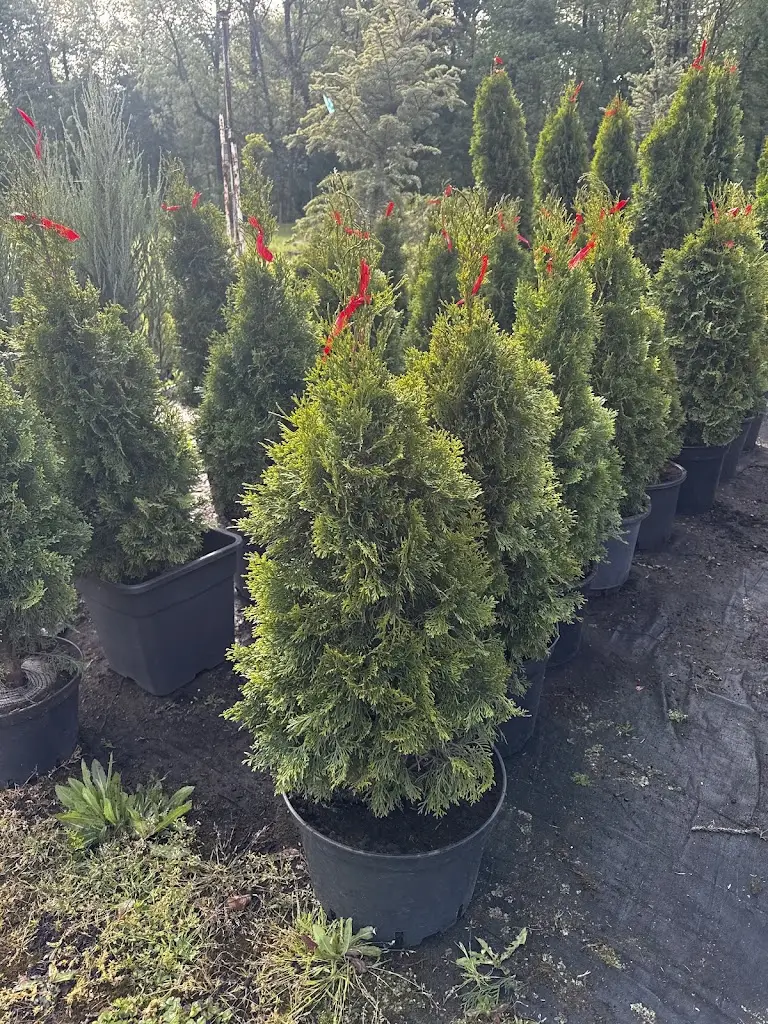 Zahradnictví, okrasná školka a realizace zahrad Lesunion a.s._Libochovice_slider_image_1