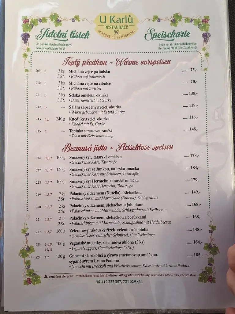 Menu_Alf_Rumburk_image_1