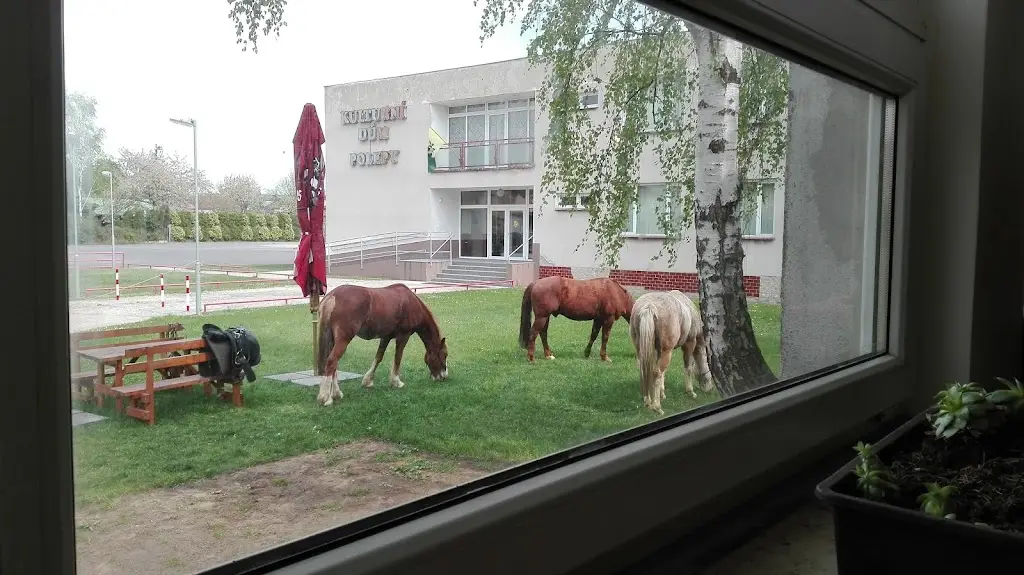 Restaurace u Kulturního domu_Polepy_slider_image_3