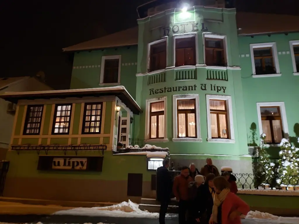 Tova Hamilton_U Lípy_Polepy_review