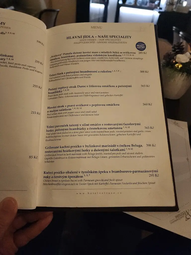 Menu_Restaurant Větruše_Okres Ústí nad Labem_immagine_2