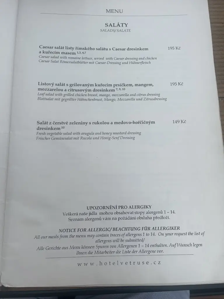 Menu_Restaurant Větruše_Okres Ústí nad Labem_immagine_4