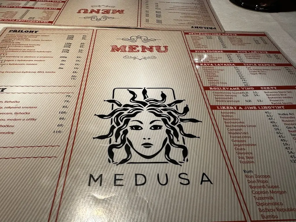 Menu_Restaurace Medusa_Okres Ústí nad Labem_image_1