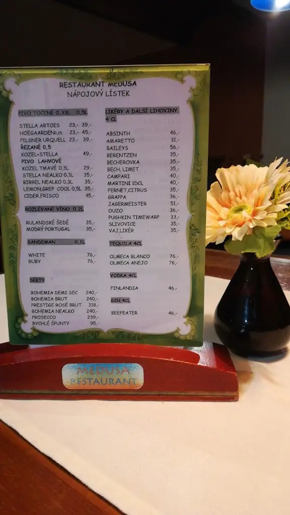 Menu_Restaurace Medusa_Okres Ústí nad Labem_image_4
