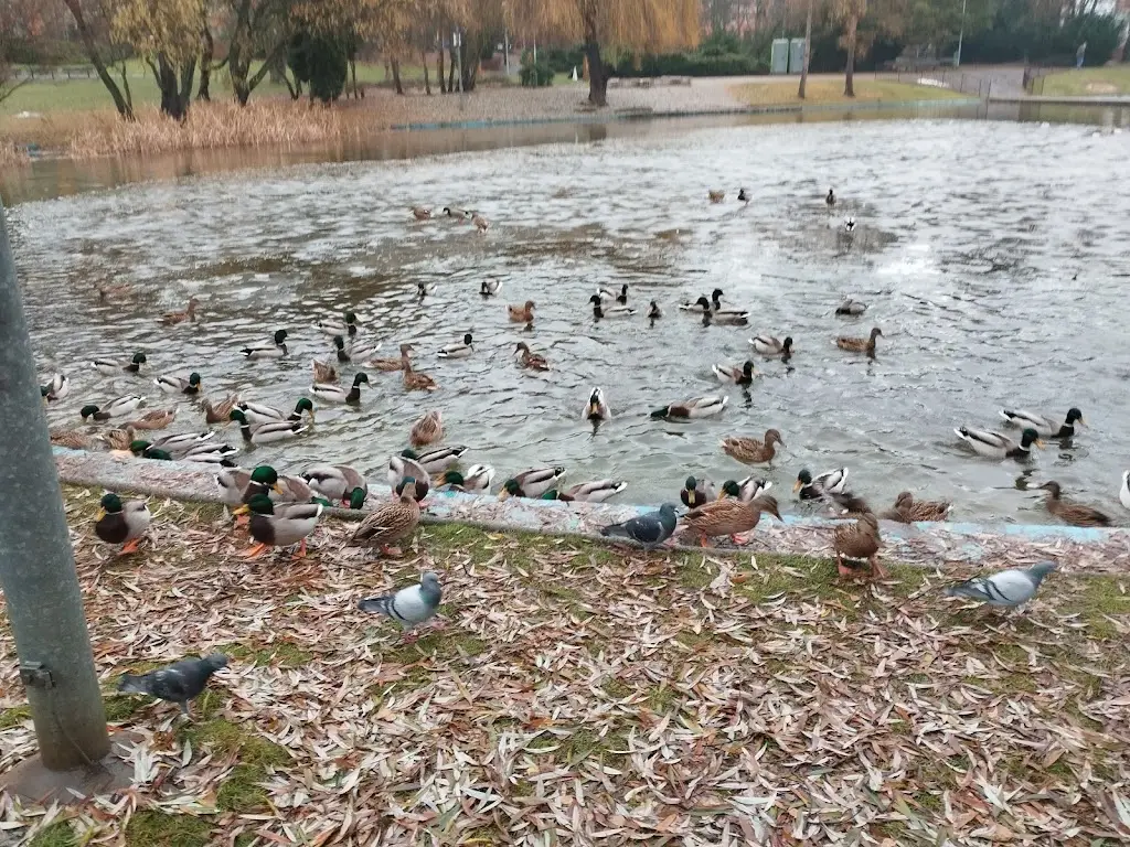 Jan Kalat_Restaurace Medusa_Okres Ústí nad Labem_review