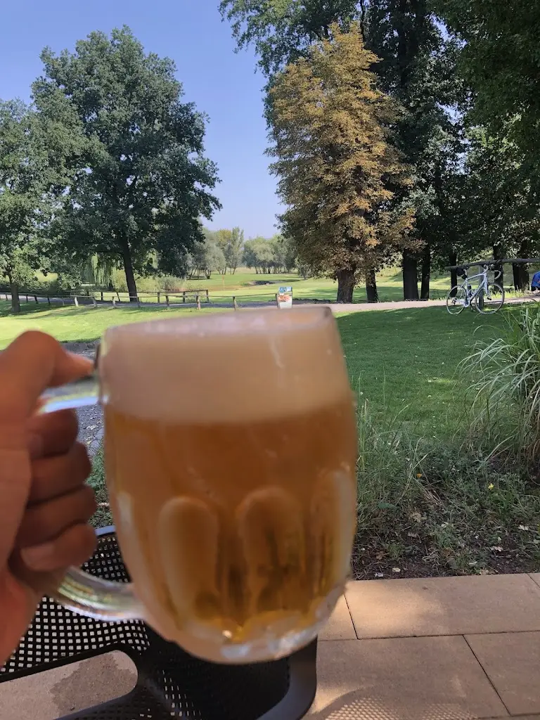 David (Vagabundo Millonario)_Kotlina Restaurace_Terezín_review