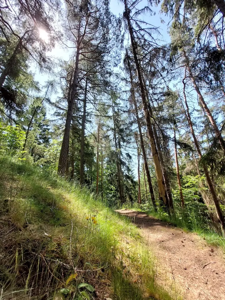 Erik Oehmichen_Zřícenina hradu Perštejn_Perštejn_review