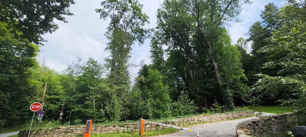 Arthur Serfur_Pernštejn Castle_Perštejn_review