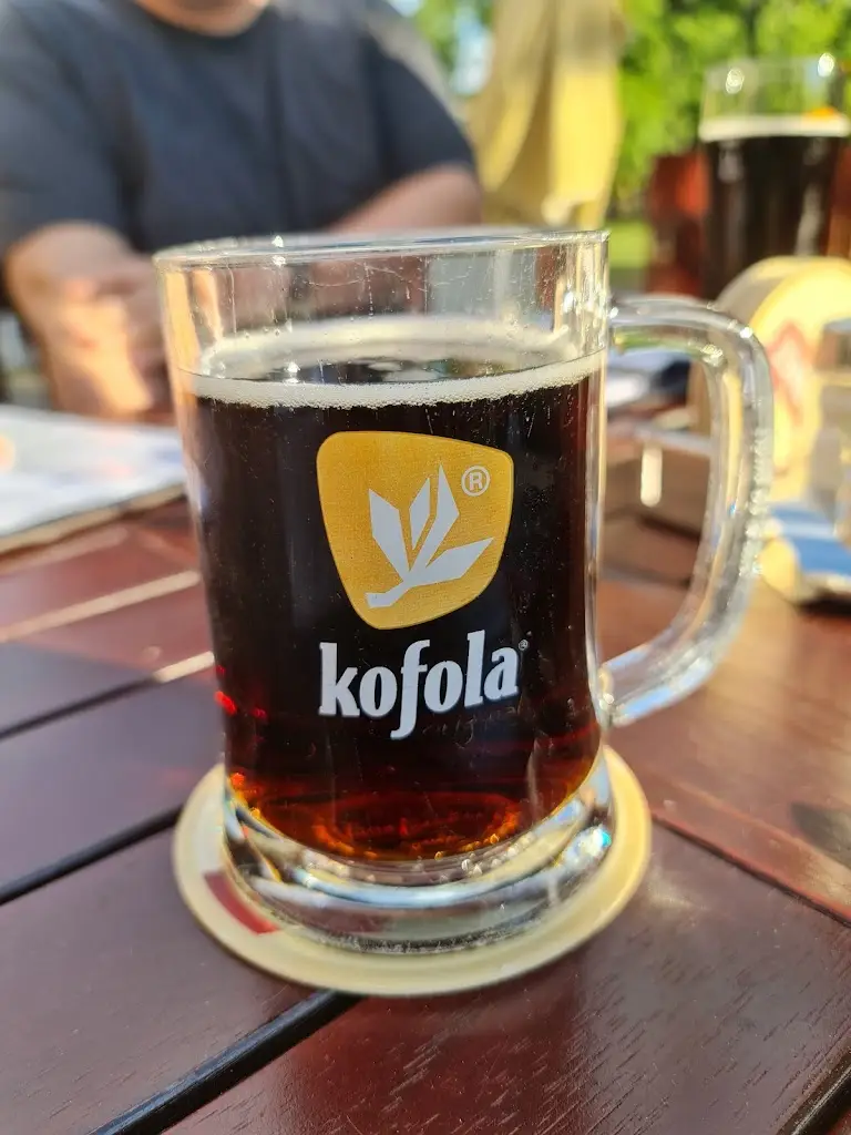 Diah S_Restaurace Elixír_Litvínov_review