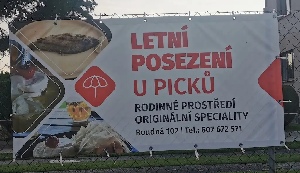 Drahomíra Kalivodová_Letní posezení u Picků_Soběslav_review