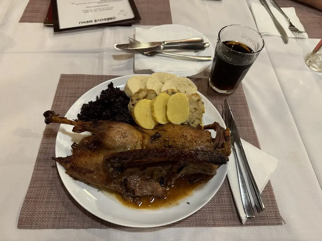 Catalina Olteanu-Pauna_Restaurace U Zvonku_Litvínov_review