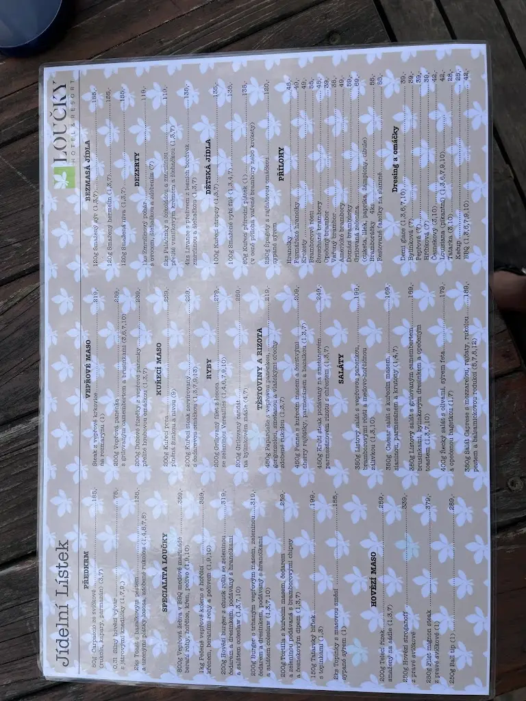 Menu_Restaurace Loučky_Litvínov_image_1