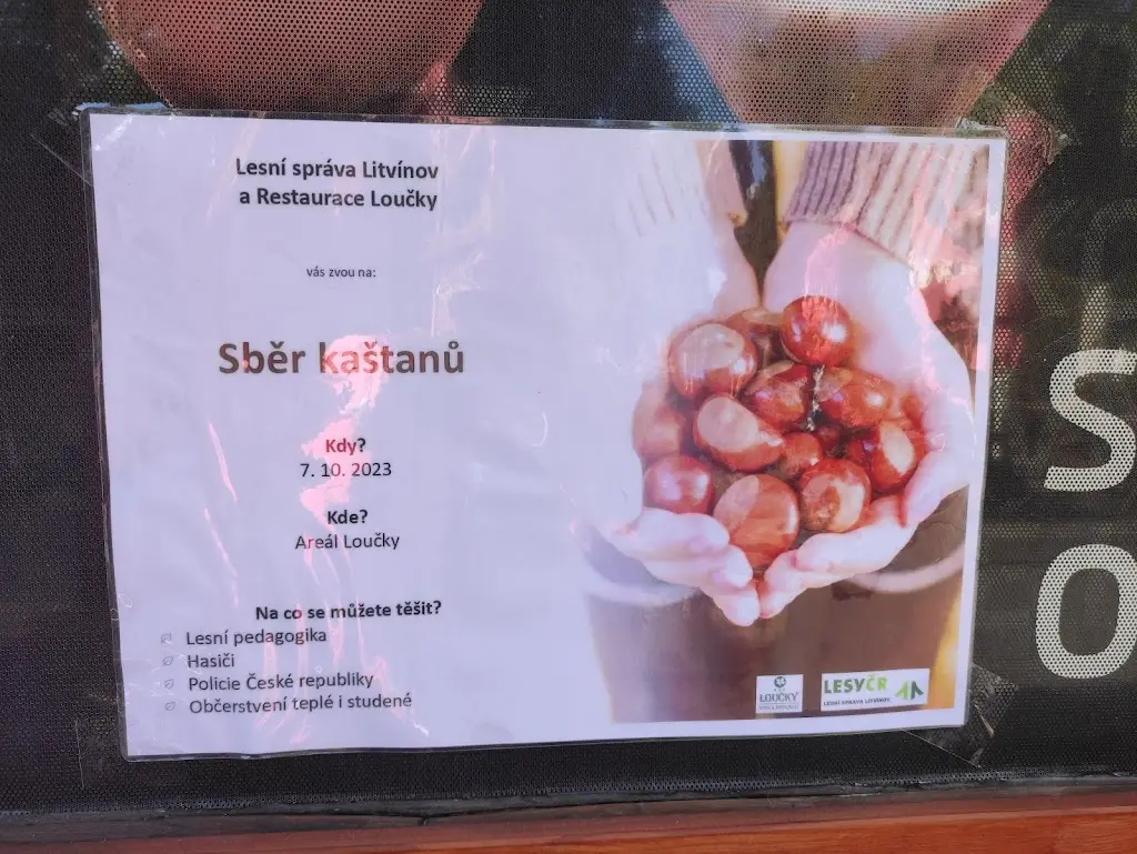 Menu_Restaurace Loučky_Litvínov_image_3