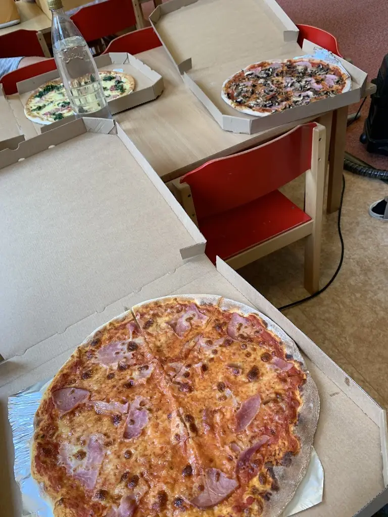 Anna Janoušová_Bílá labuť_Litvínov_recensione