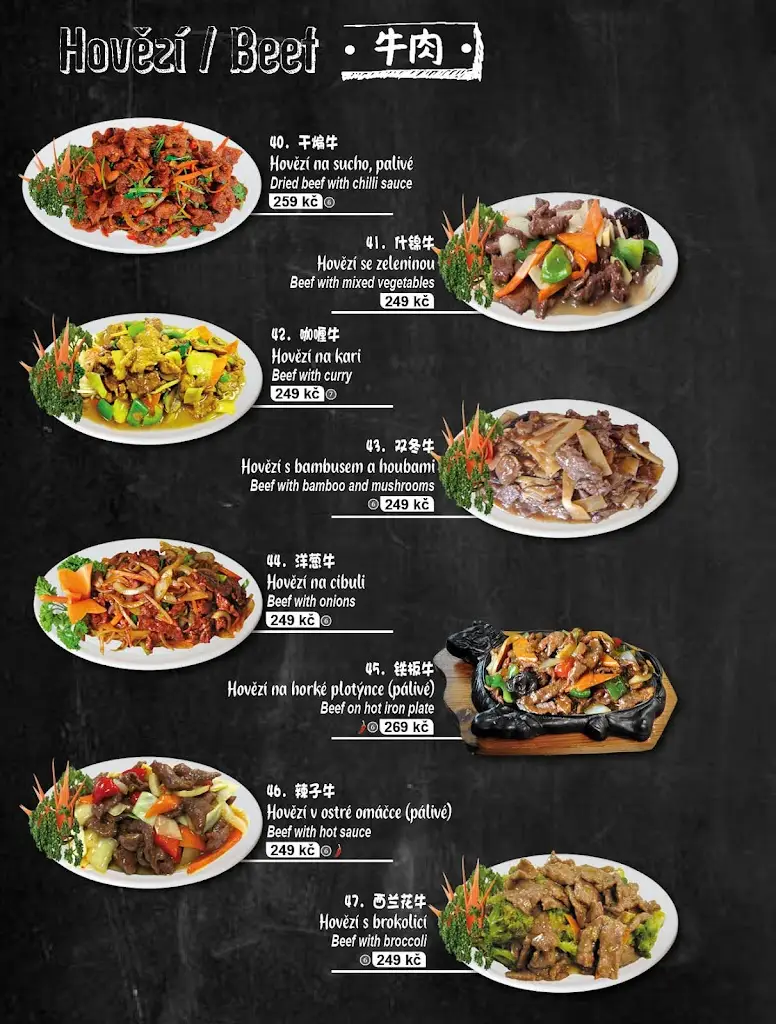Menu_Čínská restaurace Sokolovna, přízemí_Litvínov_image_2