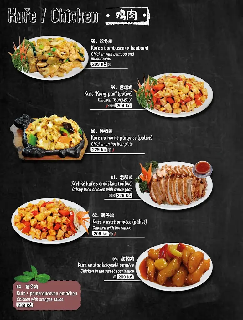 Menu_Čínská restaurace Sokolovna, přízemí_Litvínov_image_3