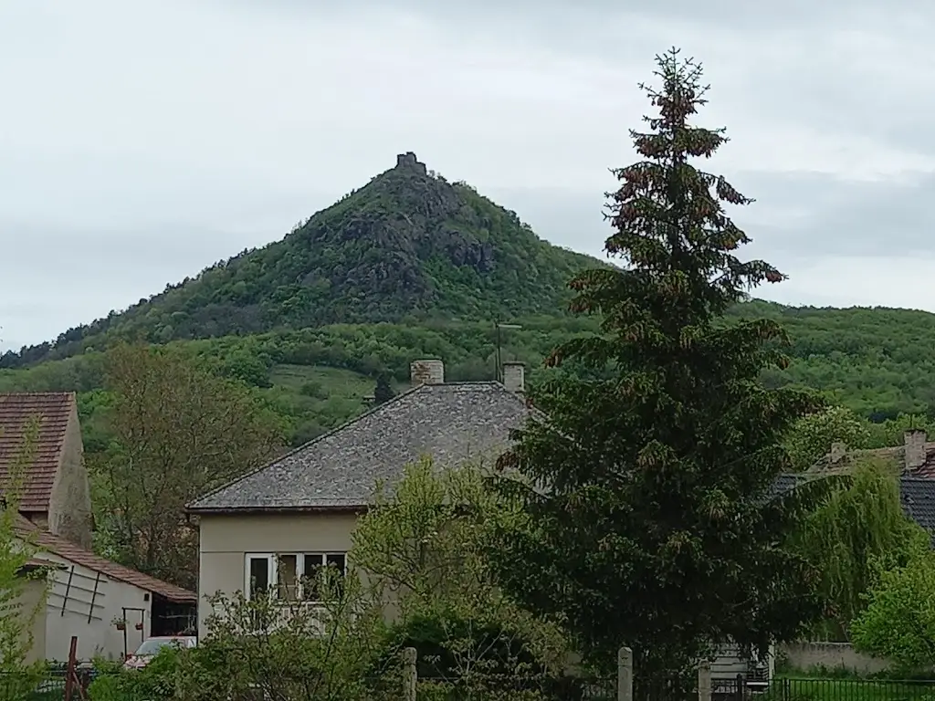 Віктор Пономаренко_u Havlů_Třebenice_review