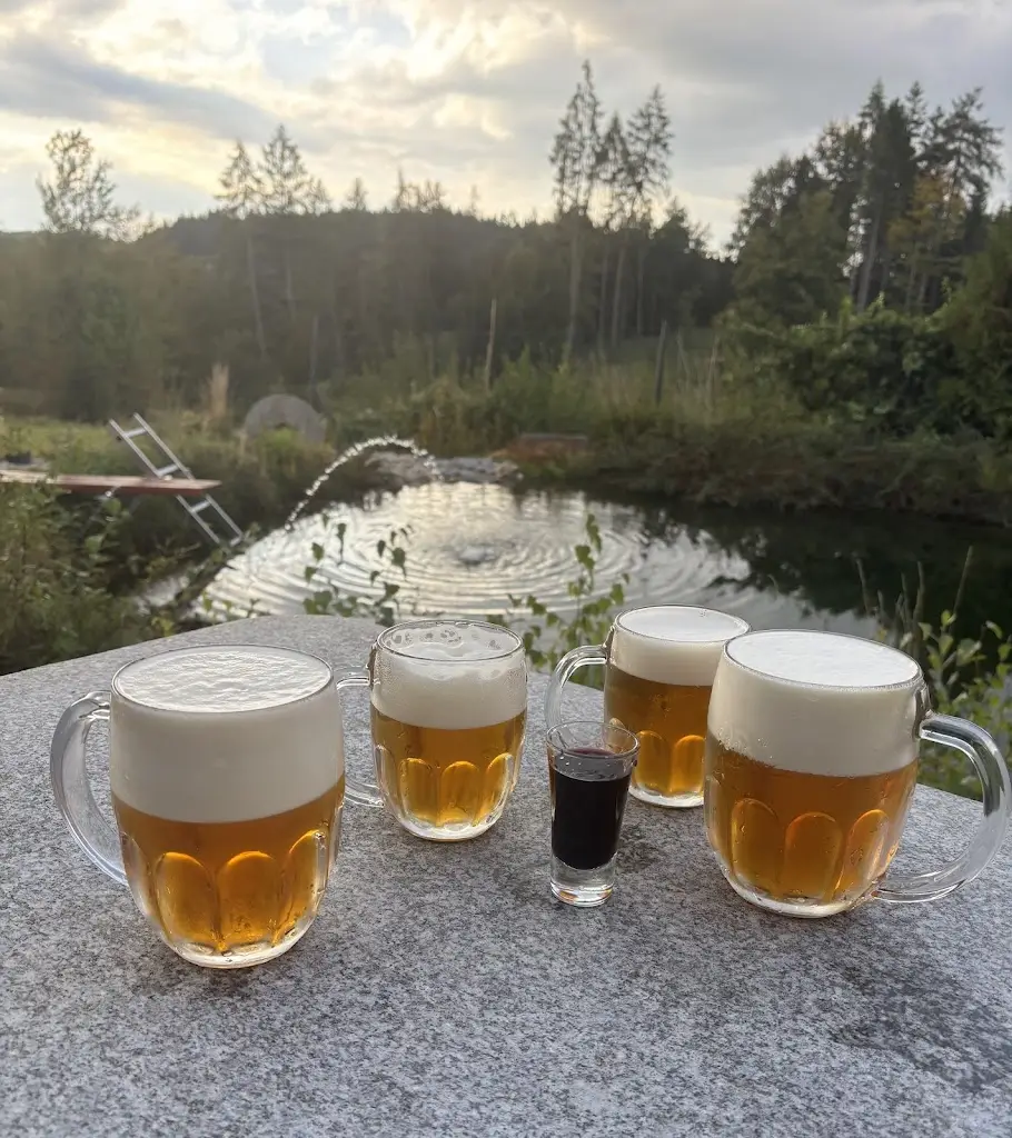 Bistro Black Death ristorante a Velký Šenov