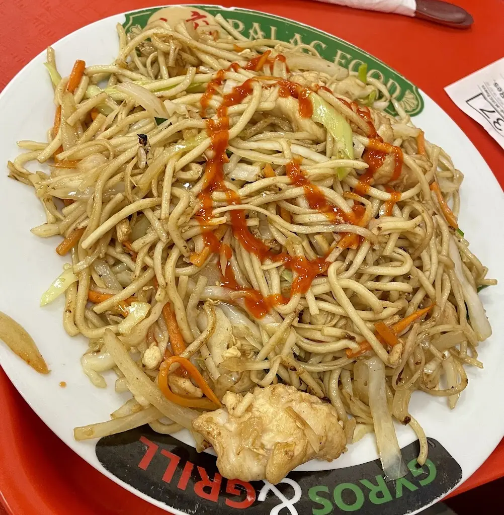 Micha Elka_Palác Food_Trmice_review