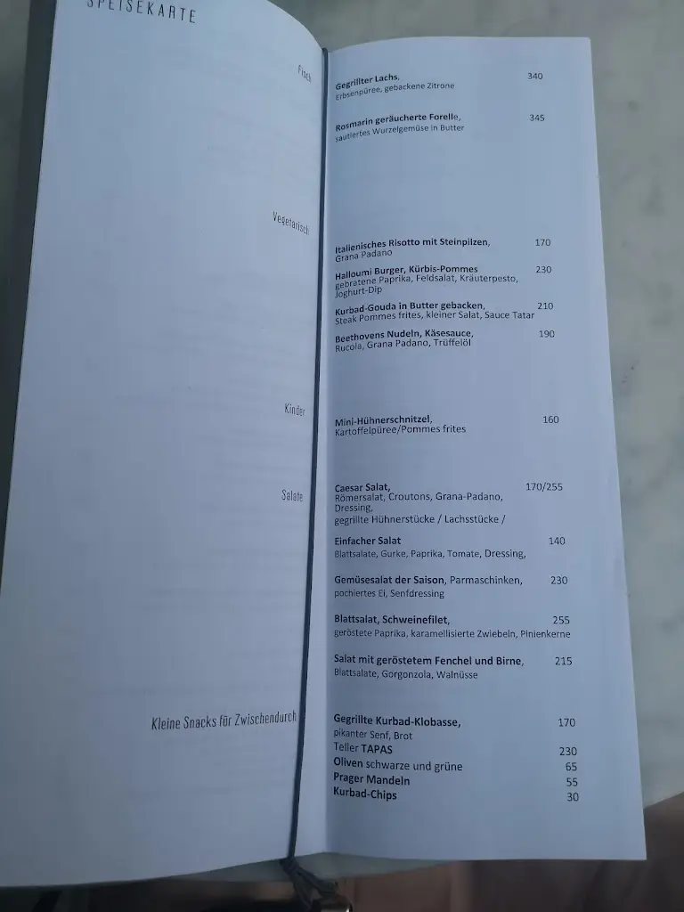 Menu_Café Restaurant Beethoven_Teplice_immagine_1