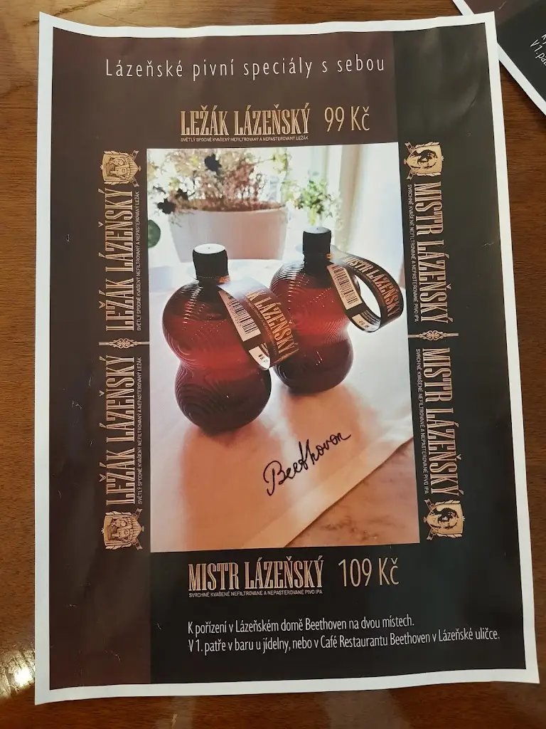 Menu_Café Restaurant Beethoven_Teplice_immagine_2