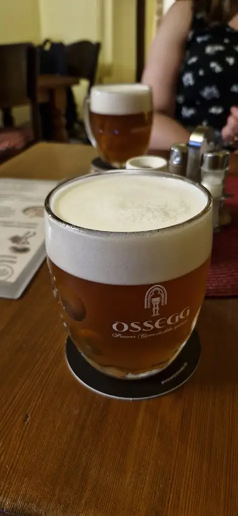 Steven Toy_Hospůdka u veselýho mandlu_Teplice_review