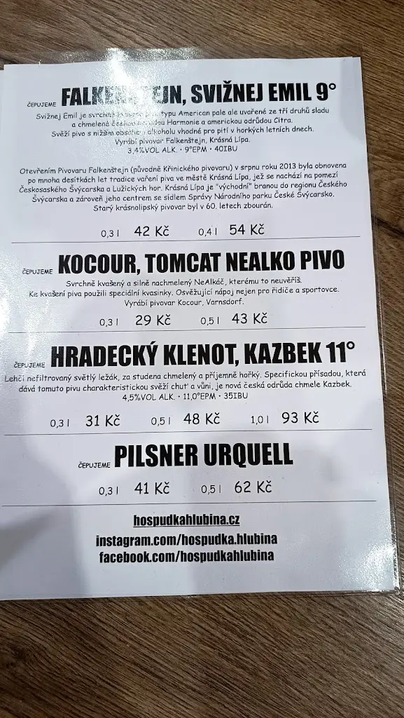 Menu_Hospůdka Hlubina_Teplice_image_2