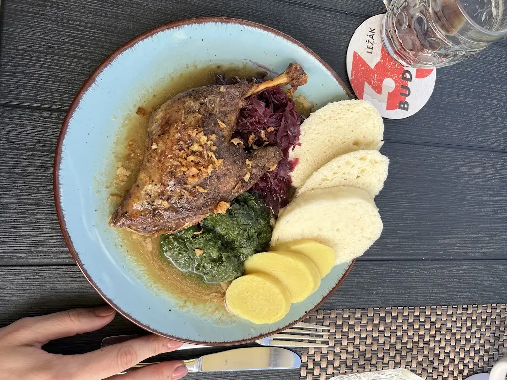 Pavlina Polickova_Restaurace VĚŽIČKY_Teplice_review