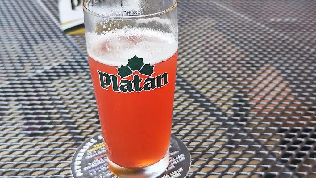 Martina Štraubová (Maty)_Hospoda U Jezu_Bechyně_review