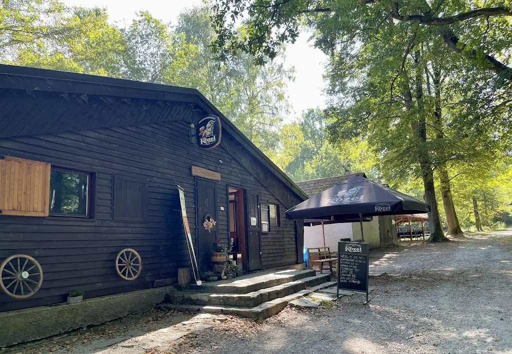 FLnurseER1_Jan_Zizka_Kiosk_Borovany_review