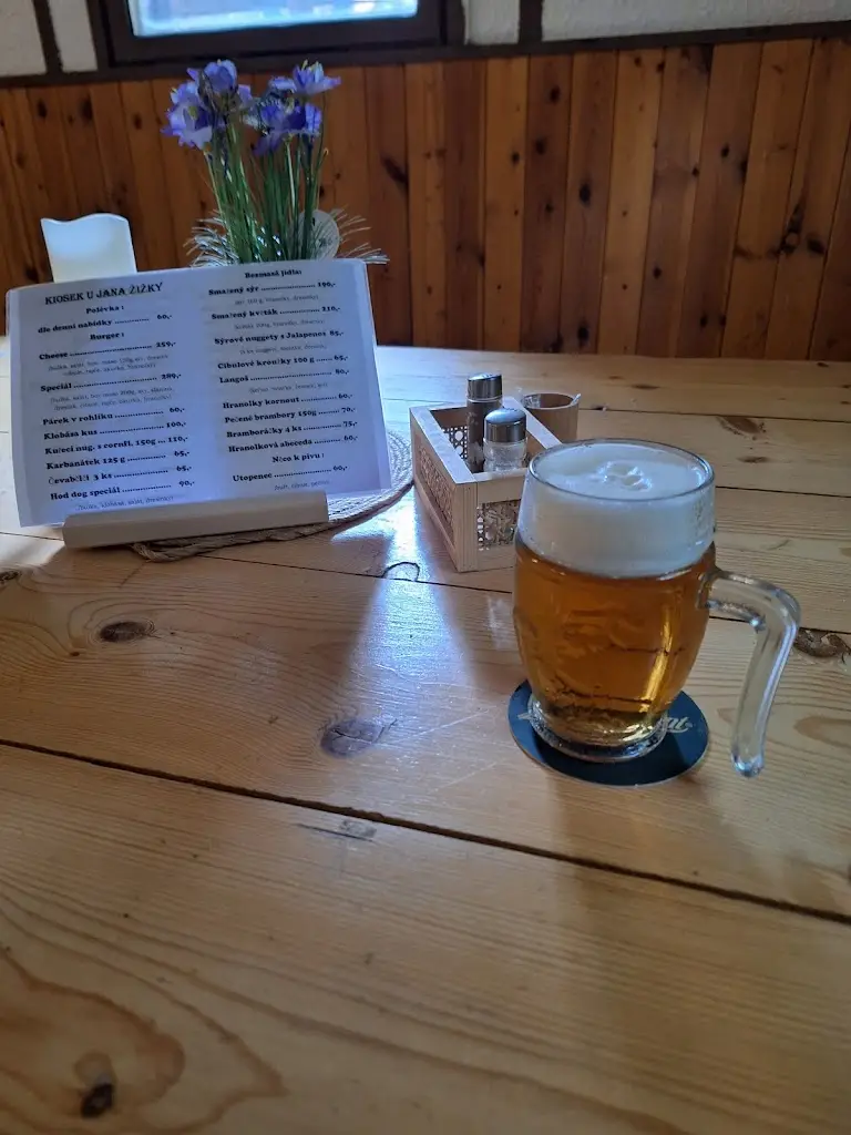 Jan Mikes_Jan_Zizka_Kiosk_Borovany_review