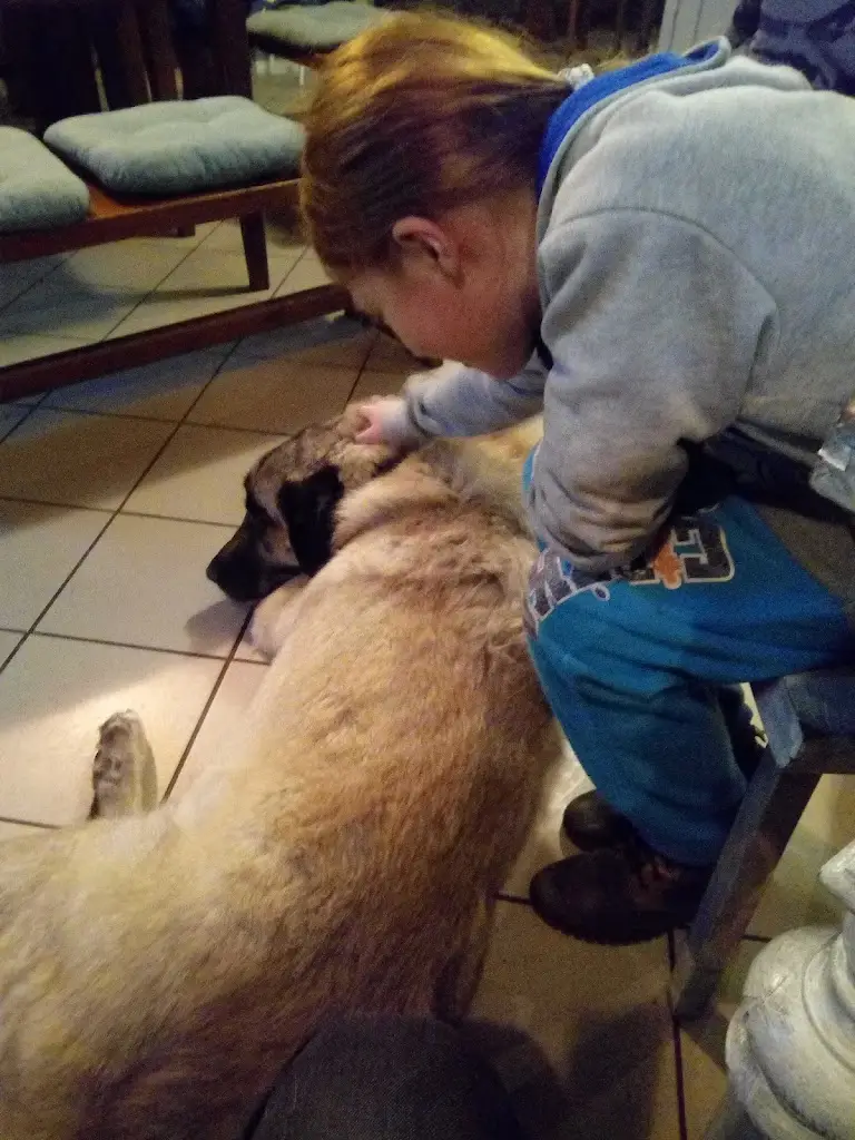 Fon Lord_Restaurace Pod zámkem_Šluknov_review