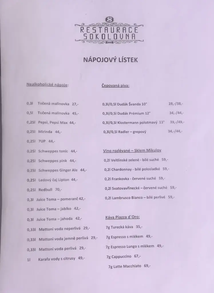 Menu_Restaurace Sokolovna Strakonice_Strakonice_image_1