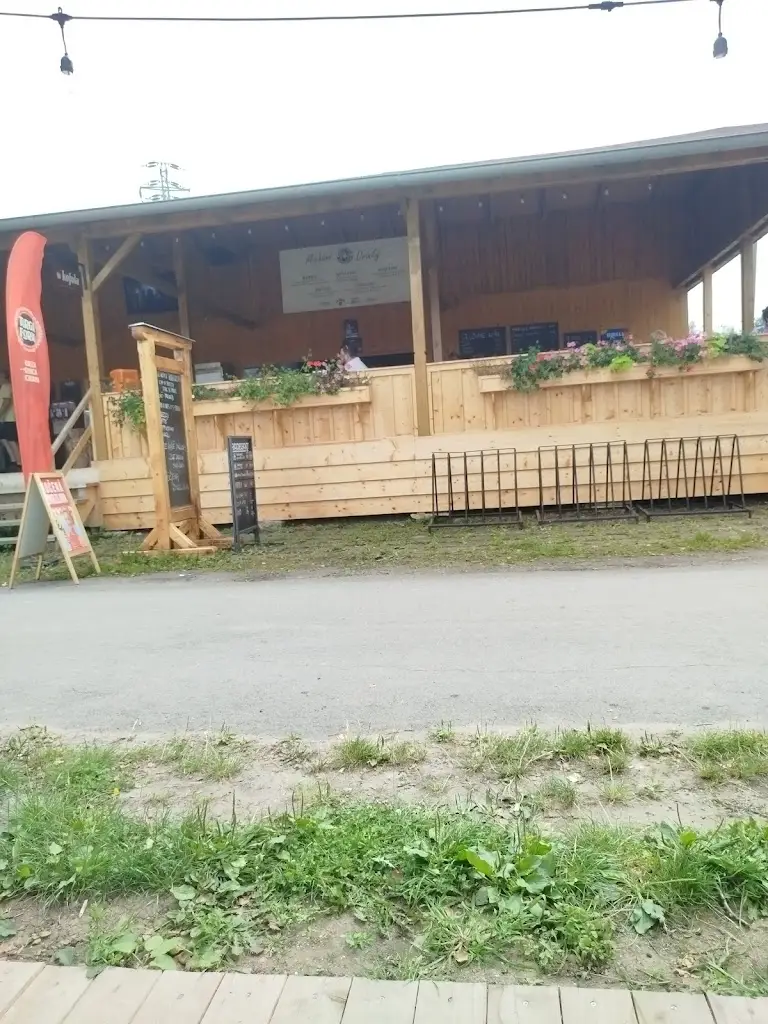 Jana Bryknarová_U Bechyho_Úštěk_review