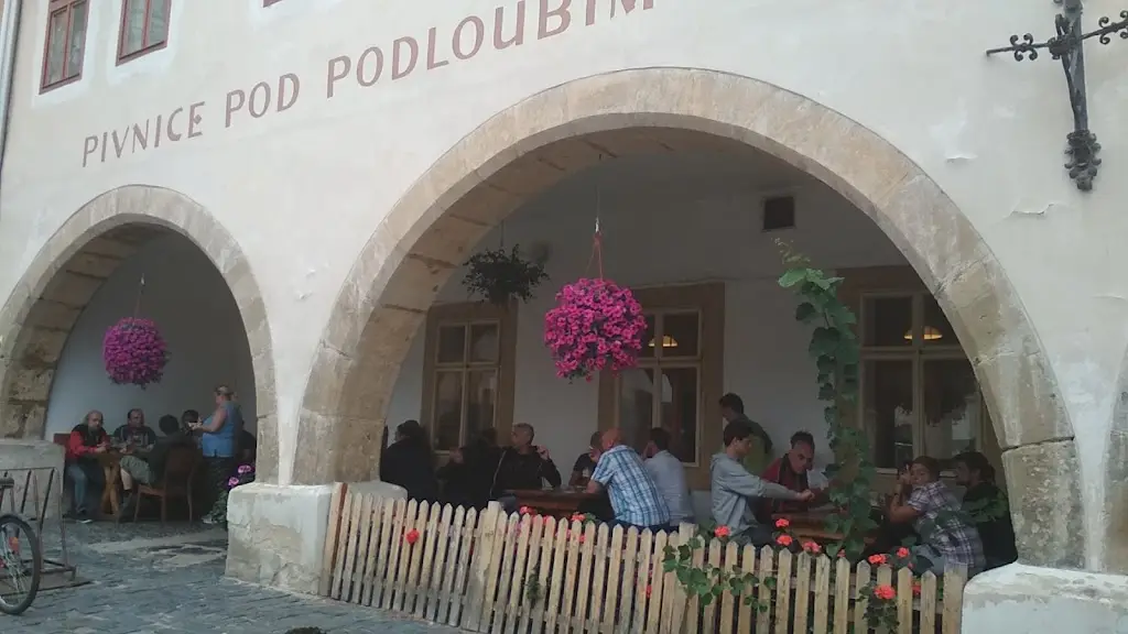 Viktor Smrz_Restaurace Pod Podloubím_Úštěk_review