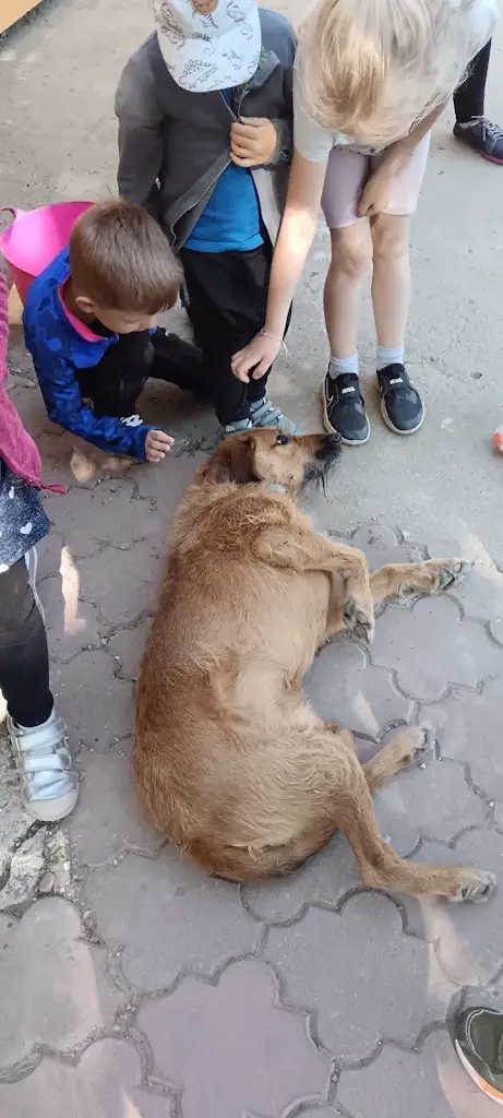 Hana Vaskovych_Dobré Místo Újezdec_Bánov_review