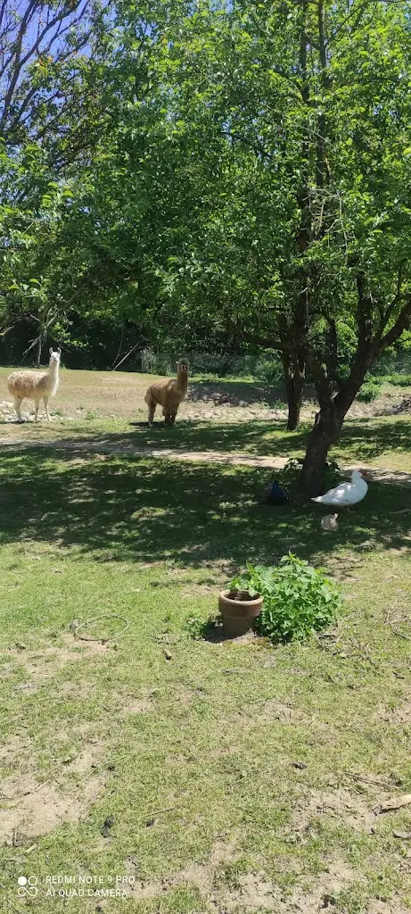 Anna Šturmová_Dobré Místo Újezdec_Bánov_review