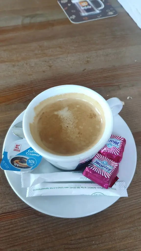 Tivadar Kaszas_Švejk Restaurant_Žatec_review