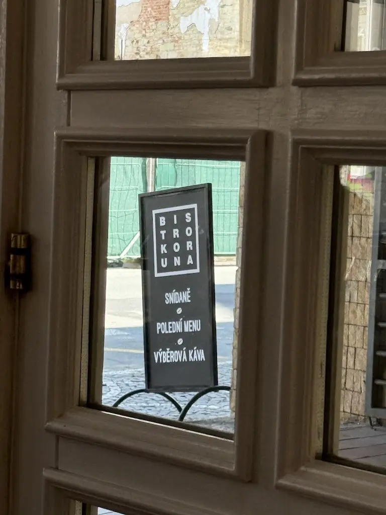 Petra D_Bistro Koruna_Roudnice nad Labem_review